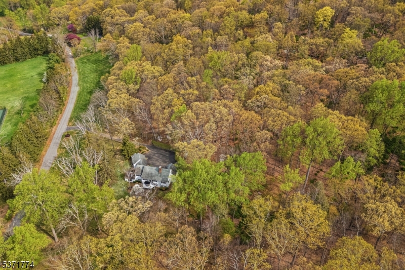 50 Hidden Valley Road Far Hills, NJ 07931 - Photo 3 of 17