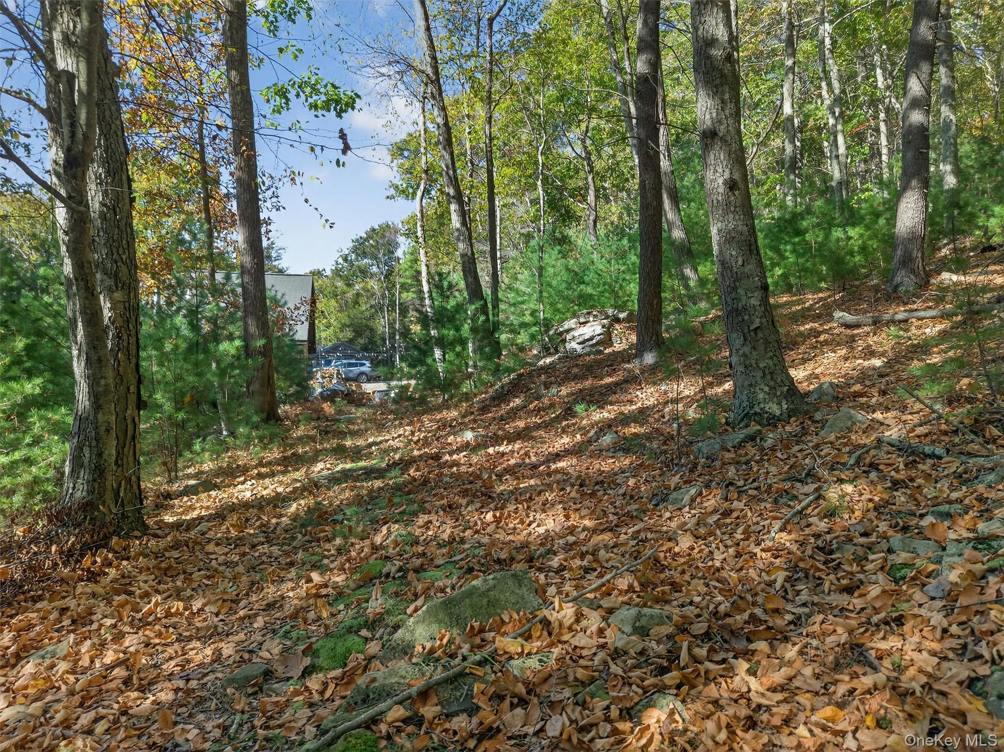 129 Hallock Road Barryville, NY 12719 - Photo 15 of 18 a big yard with lots of green space and house in the back