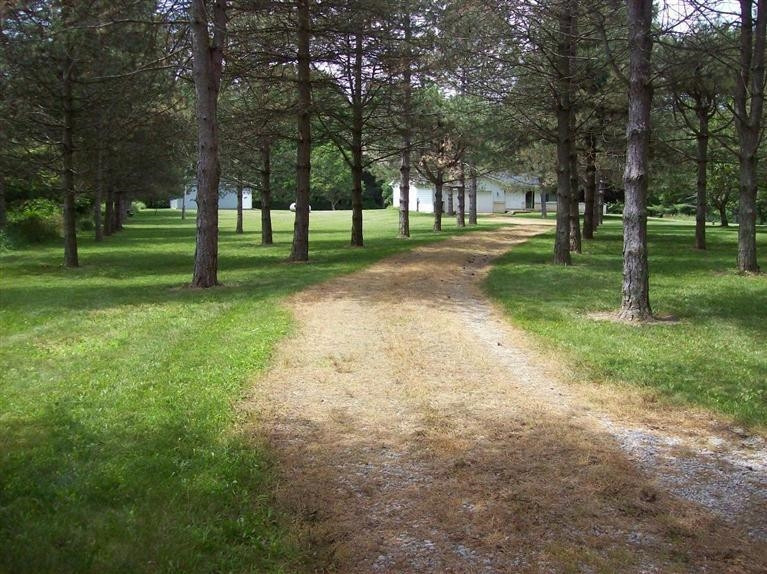 11170 Hogan Road Manchester, MI 48158 - Photo 3 of 10 Photo 3