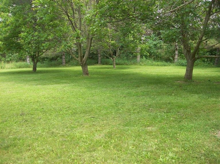 11170 Hogan Road Manchester, MI 48158 - Photo 5 of 10 Photo 5