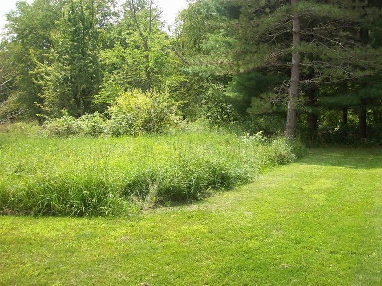 11170 Hogan Road Manchester, MI 48158 - Photo 10 of 10 Photo 10