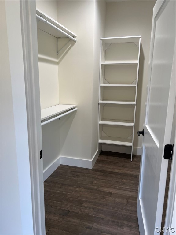 116 Left Field Course Manlius, NY 13104 - Photo 7 of 20