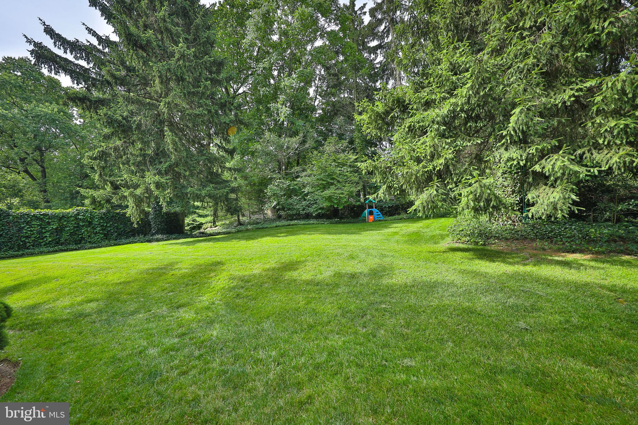 1334 Barrowdale Road Jenkintown, PA 19046 - Photo 41 of 47 Back Yard