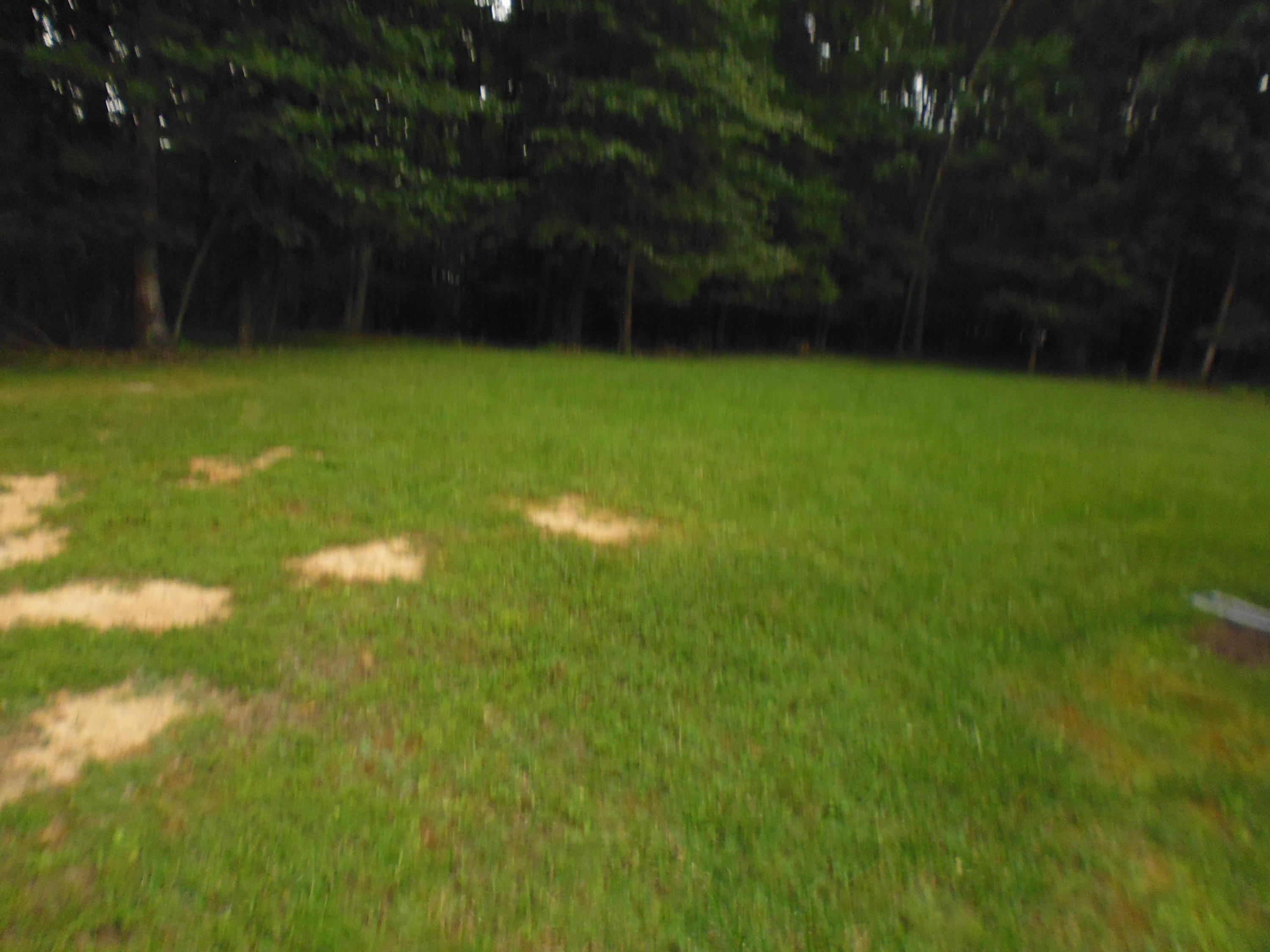 347 Anderson Estates Road Lewisburg, WV 24901 - Photo 14 of 41 Gallery Image 14