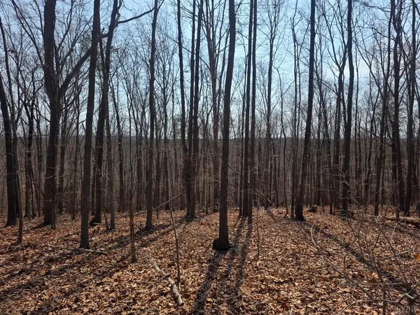 $34,900 | 0 Otterwood Court, Evington, VA 24550