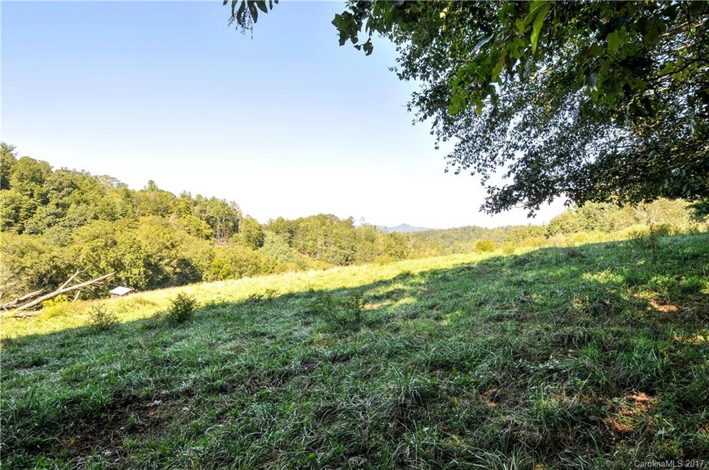 508 Back Hollow Road Mars Hill, NC 28754 - Photo 22 of 24 Gallery Image 22