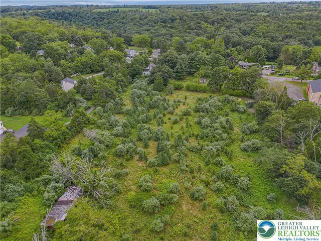 a view of a forest with a street