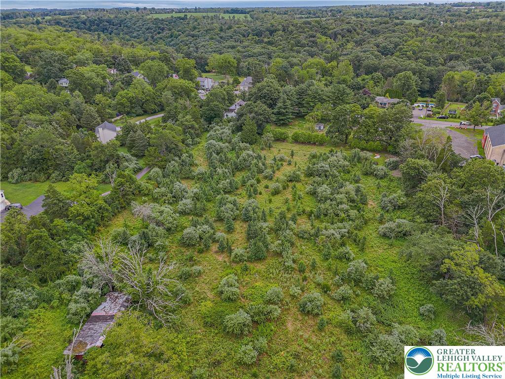 45 Everittstown Road Frenchtown, NJ 08825 - Photo 9 of 16 a view of a forest with a street