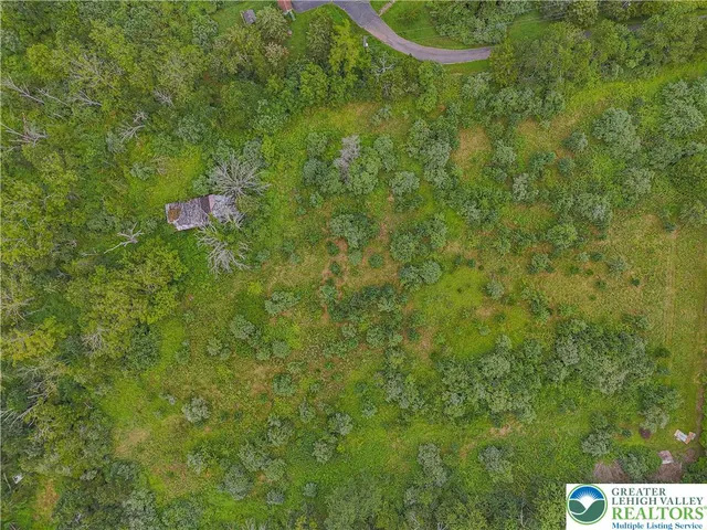 a view of a yard with a tree