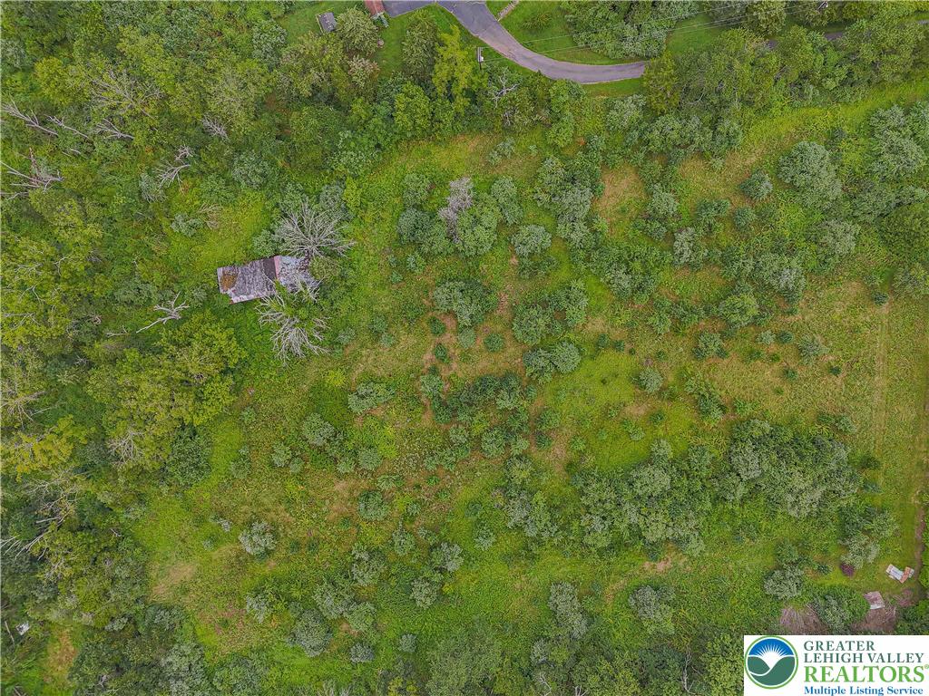 45 Everittstown Road Frenchtown, NJ 08825 - Photo 10 of 16 a view of a yard with a tree