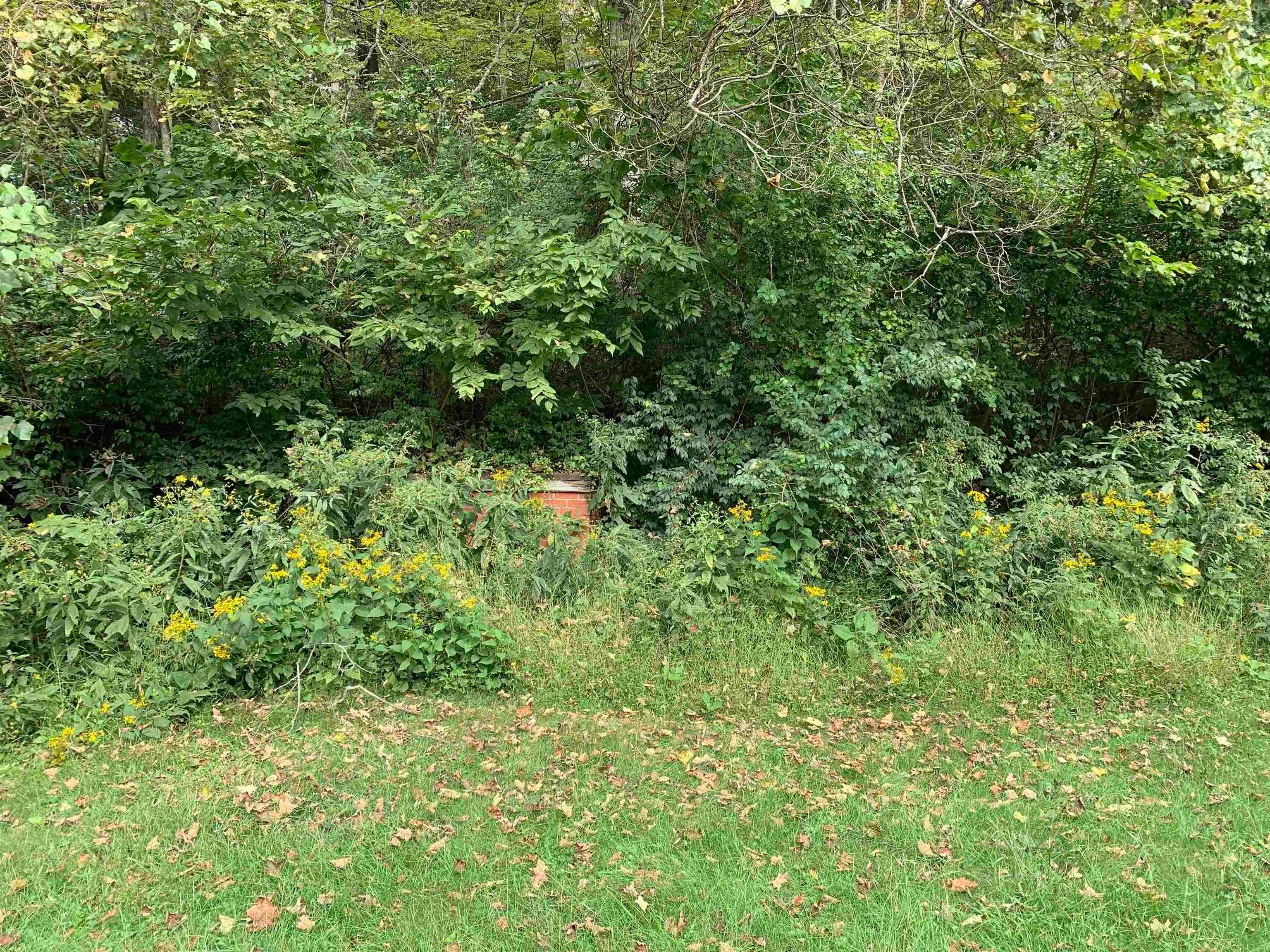 6151 Davis Creek Road Huntington, WV 25705 - Photo 14 of 14 Gallery Image 14