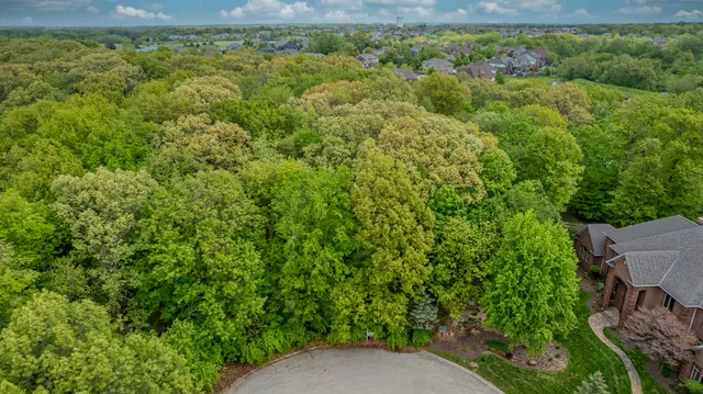 a view of a yard with plants