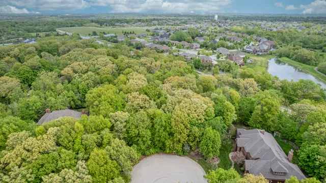a view of a street sign under a large tree