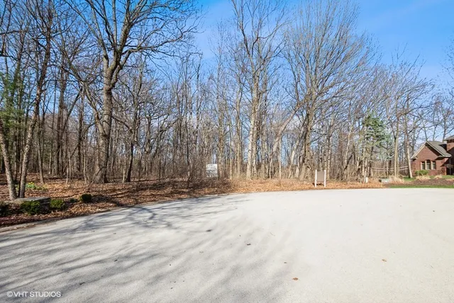 a view of a yard with snow on the road