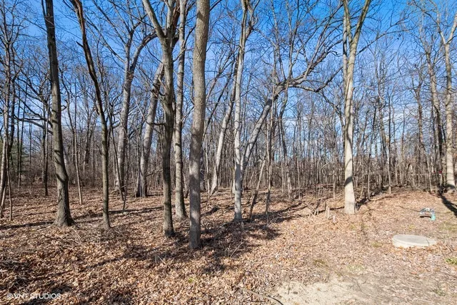 a view of a snow on the side of the road