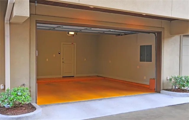 a view of empty room with potted plants