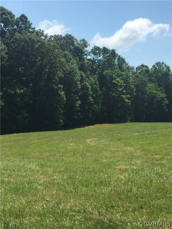202 Lassiter Road Mineral, VA 23117 - Photo 2 of 4 Gallery Image 2