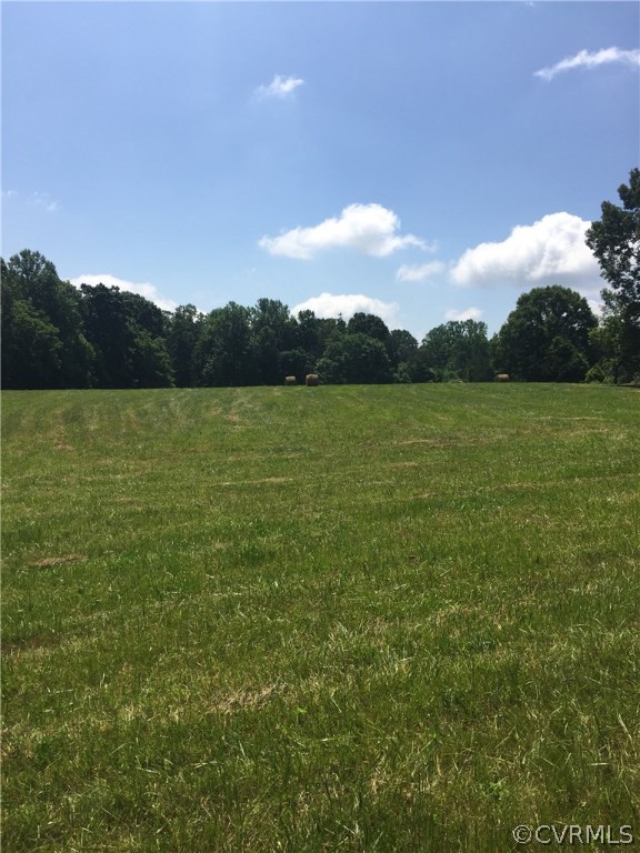 202 Lassiter Road Mineral, VA 23117 - Photo 3 of 4 Gallery Image 3