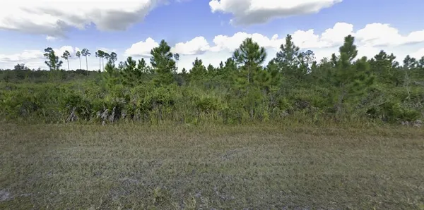 $15,000 | 1024 Callandra Drive, Indian Lake Estates, FL 33843