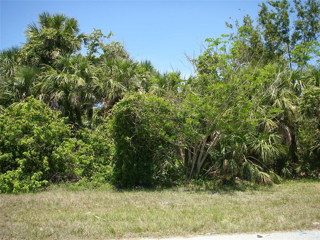 11091 Gasparilla Road Placida, FL 33946 - Photo 1 of 1 Gallery Image 1