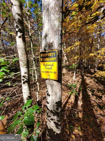 a view of a bench in the forest