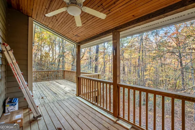 a view of a lot of trees and bushes