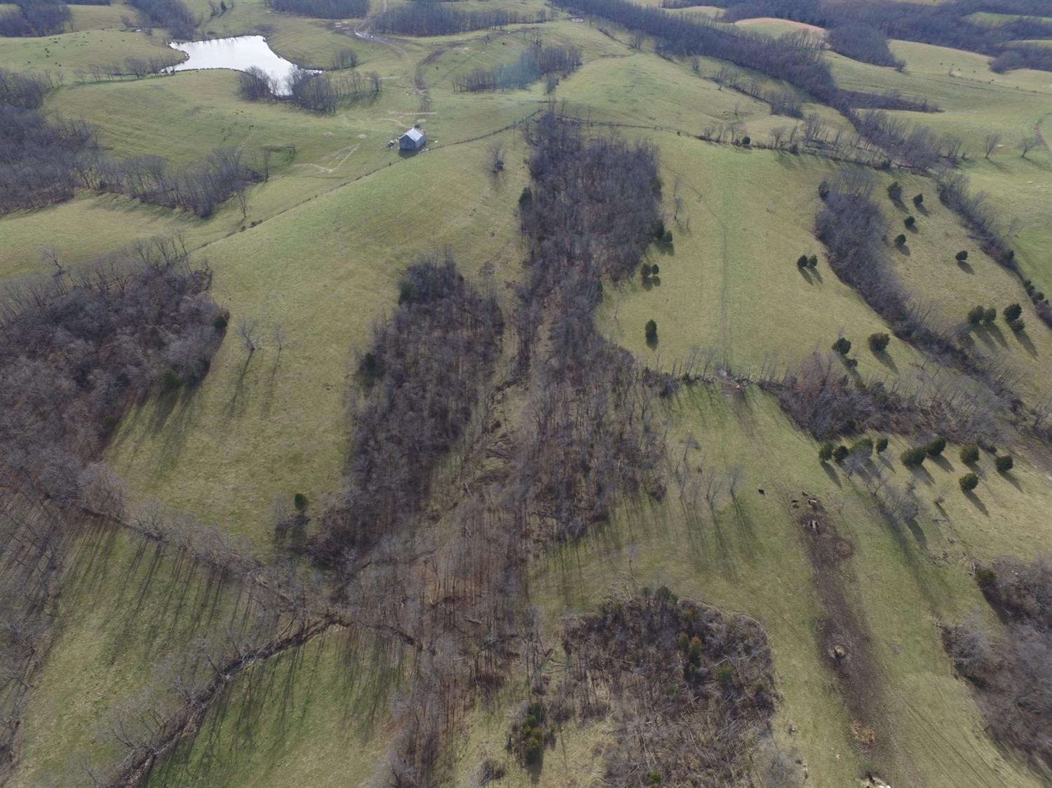 336 Rockridge Road Paris, KY 40361 - Photo 21 of 27 Photo 21