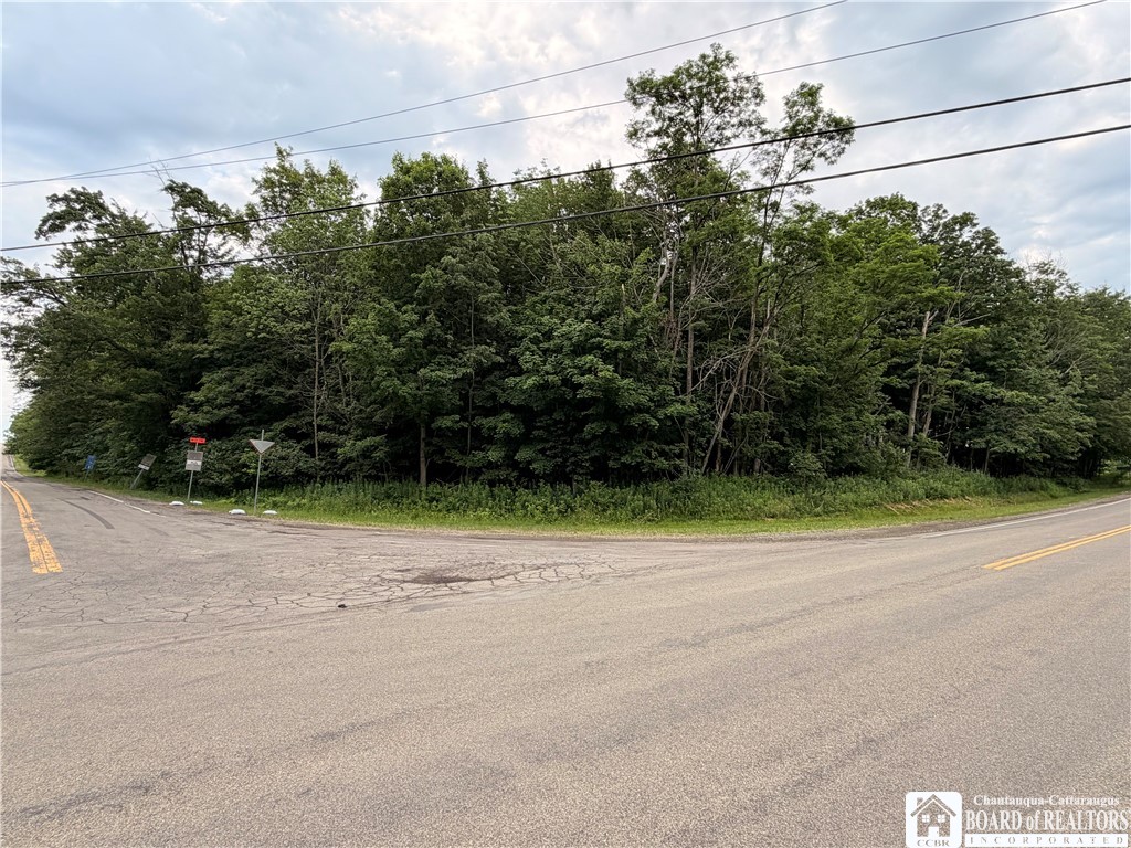 0 Panama-Stedman Road Ashville, NY 14710 - Photo 1 of 5