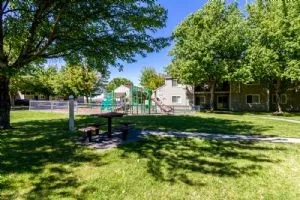 a view of a backyard