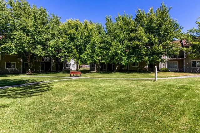 a house with trees in the background