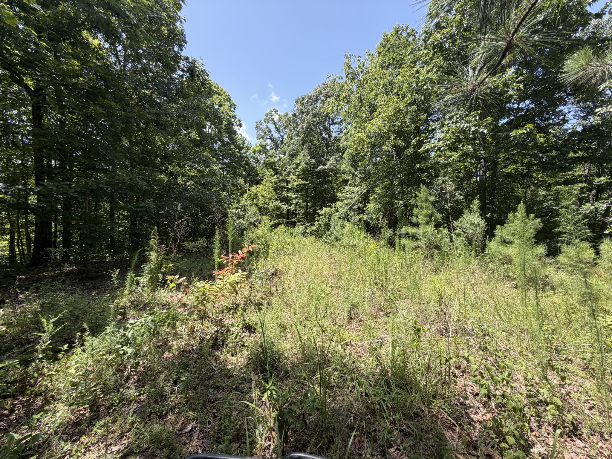 215 Bar Bee Road Hohenwald, TN 38462 - Photo 29 of 51