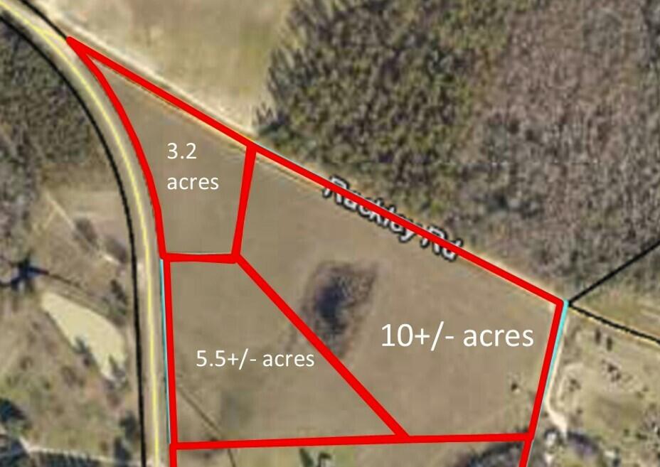 0 Porter Carswell Road Waynesboro, GA 30830 - Photo 4 of 4 Porter Carswell_Aerial_north