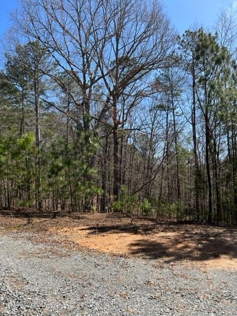 2 Hunter Ridge Ellijay, GA 30540 - Photo 1 of 1 Gallery Image 1
