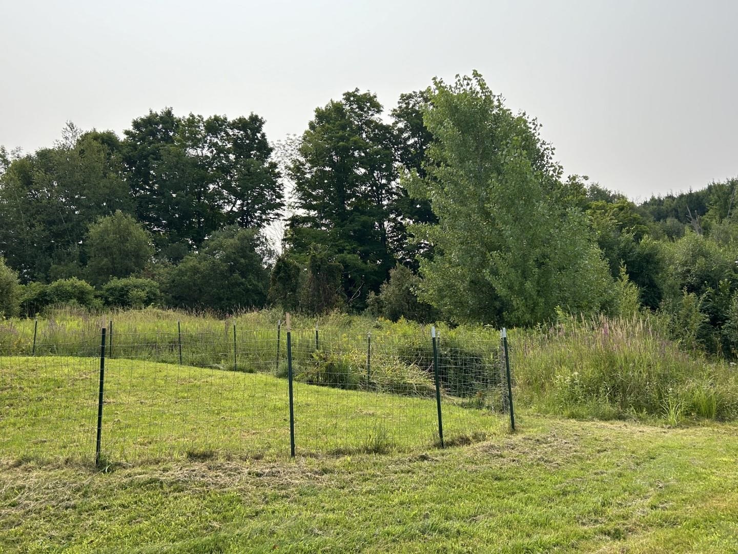 592 Magee Hill Road Hinesburg, VT 05461 - Photo 12 of 14 Gallery Image 12
