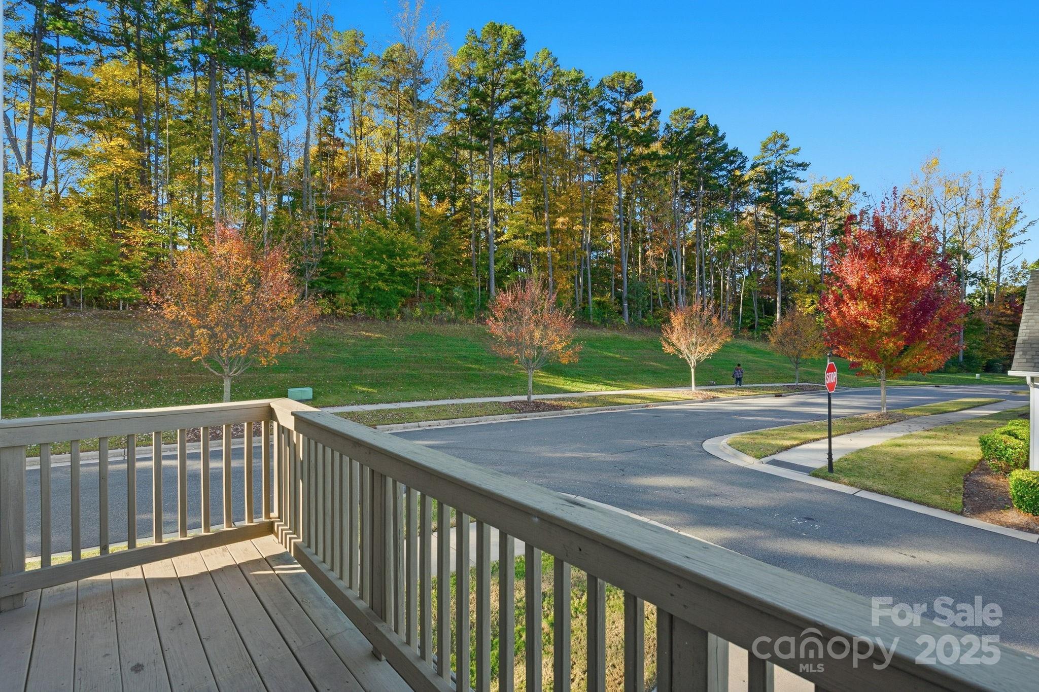 11705 Blessington Road Huntersville, NC 28078 - Photo 13 of 39