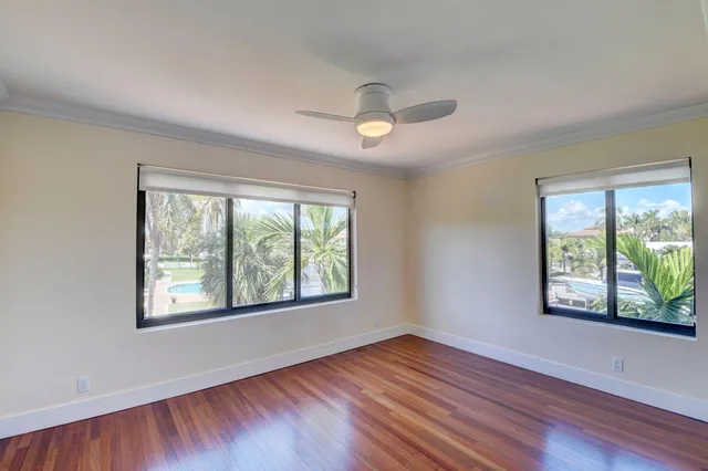 a view of a backyard with potted plants and palm trees