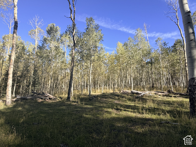 1022 Dry Lakes Road, Unit 12 Brian Head, UT 84719 - Photo 10 of 16 Expansive wooded property featuring mature trees and a grassy clearing