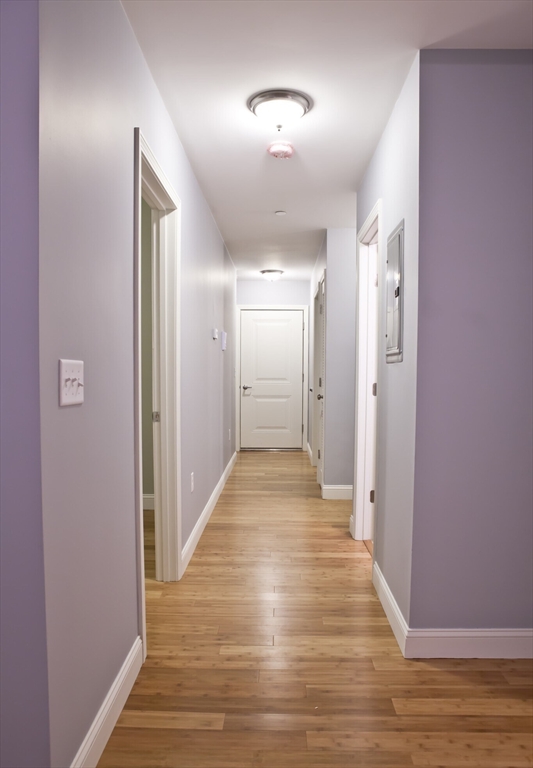 195 West 3rd Street, Unit 4 Boston, MA 02127 - Photo 5 of 16