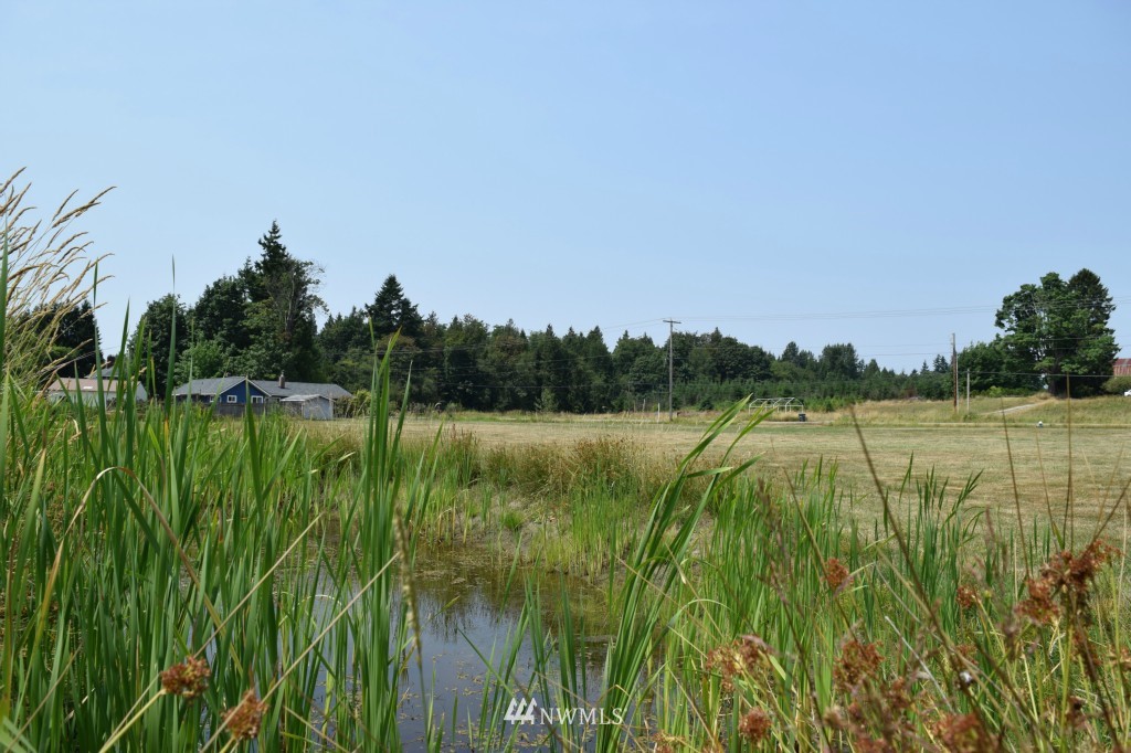4371 Sweet Road Blaine, WA 98230 - Photo 8 of 15