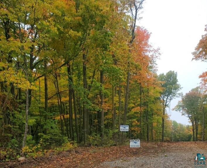 55-xx Lilac Hill Road Duluth, MN 55810 - Photo 1 of 6 Gallery Image 1