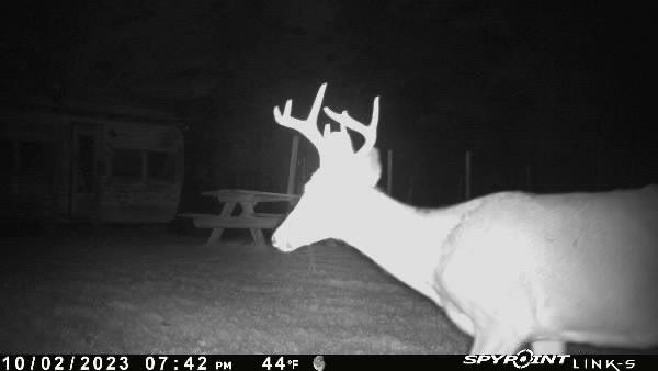 M66-l2 Waterville Road South China, ME 04358 - Photo 29 of 29 game cam