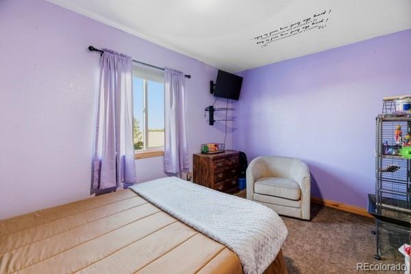44310 Homestead Road Elizabeth, CO 80107 - Photo 14 of 49 Gallery Image 14