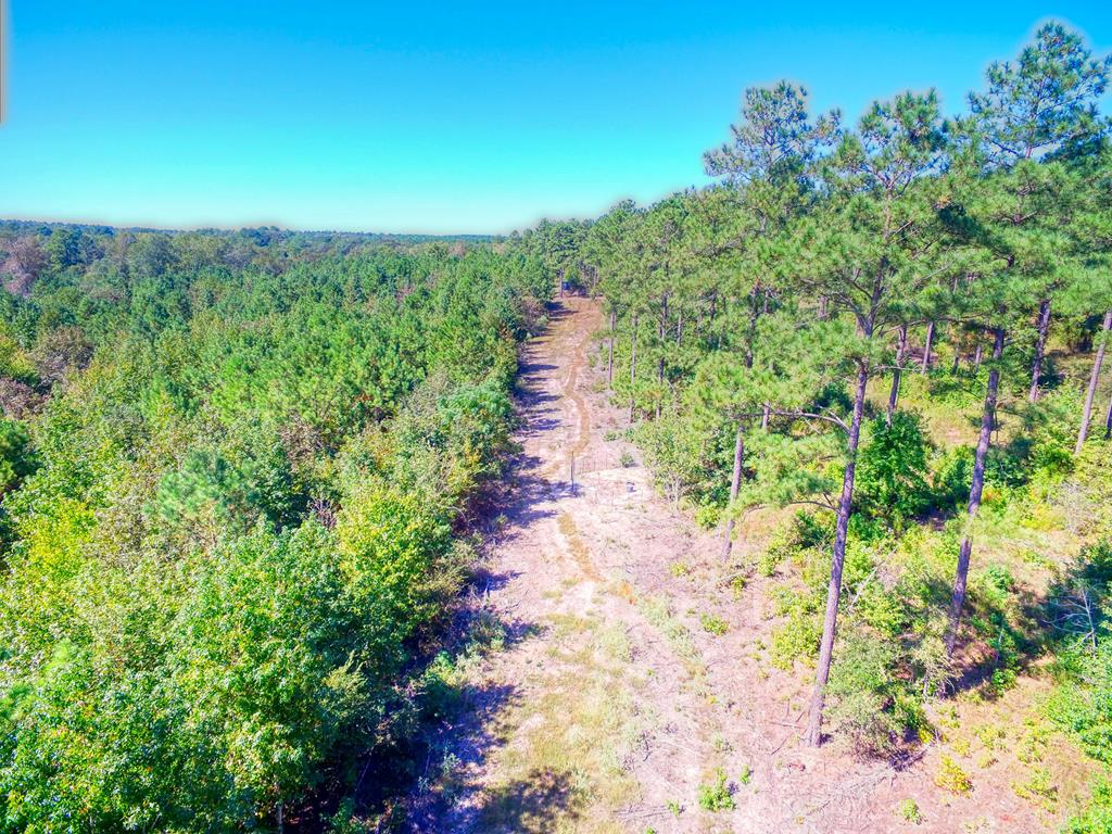 0 An County Road Palestine, TX 75801 - Photo 7 of 18