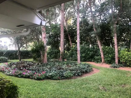 a view of a garden with flowers