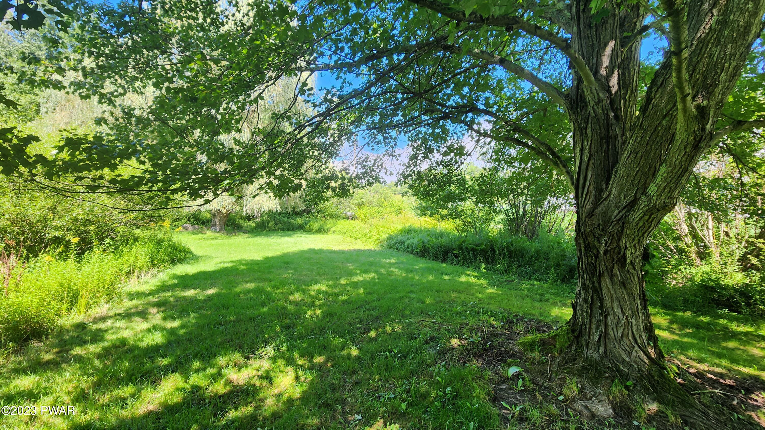 134 Plank Road Beach Lake, PA 18405 - Photo 18 of 23 20230813_113528