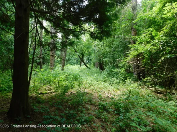 $140,000 | 0 Robson Road, Bath, MI 48808