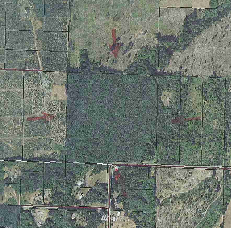 -off Brown Road West Adna, WA 98522 - Photo 1 of 1