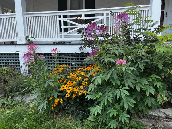 $240,000 | 15 North Street, Dixfield, ME 04224