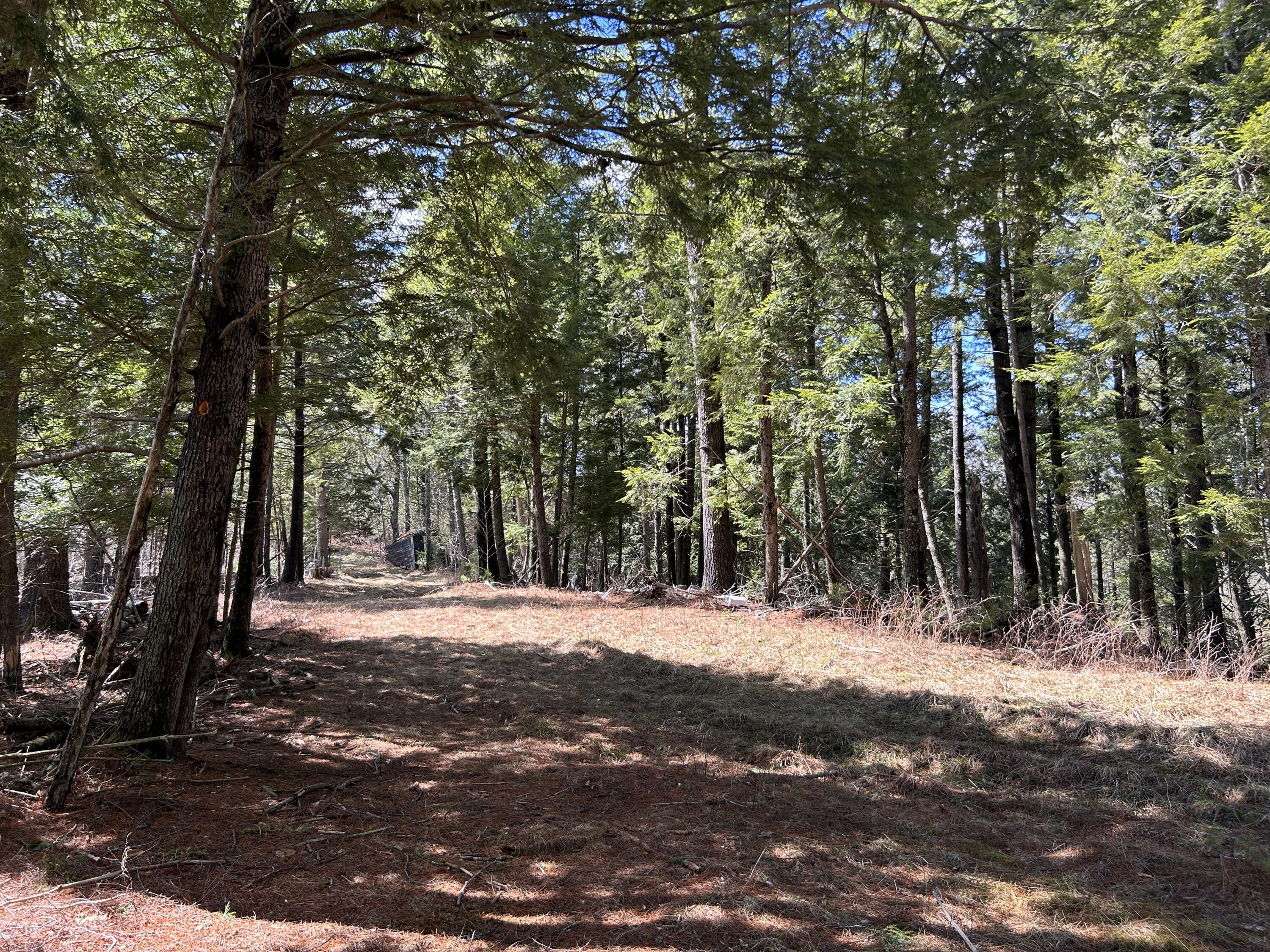 Lot 1 Waldoboro Road Washington, ME 04574 - Photo 19 of 32 IMG_7551