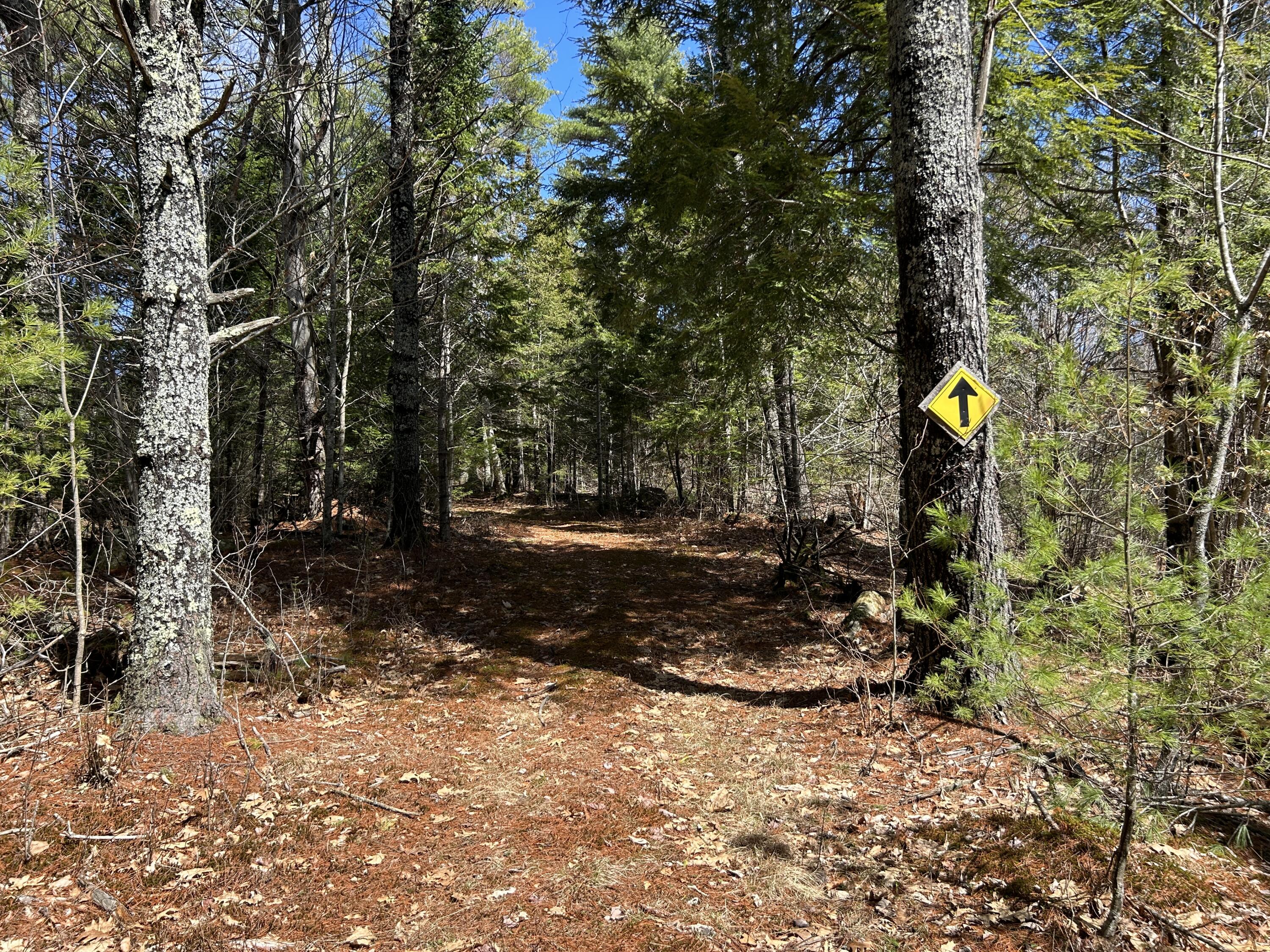 Lot 1 Waldoboro Road Washington, ME 04574 - Photo 20 of 32 IMG_7552